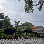 WhatsApp Image 2025-12-04 at 08.51.06